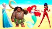 Wrong Legs Miraculous Ladybug Frozen Ariel Moana Maui Wrong Heads Finger family song Nursery Rhymes