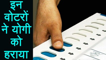 Yogi Adityanath के  हार की वजह बने Non Yadav OBC Voter, जानिए पूरा गणित | वनइंडिया हिंदी