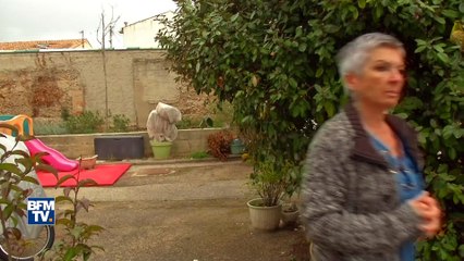 Des sangliers en plein coeur de Marseille