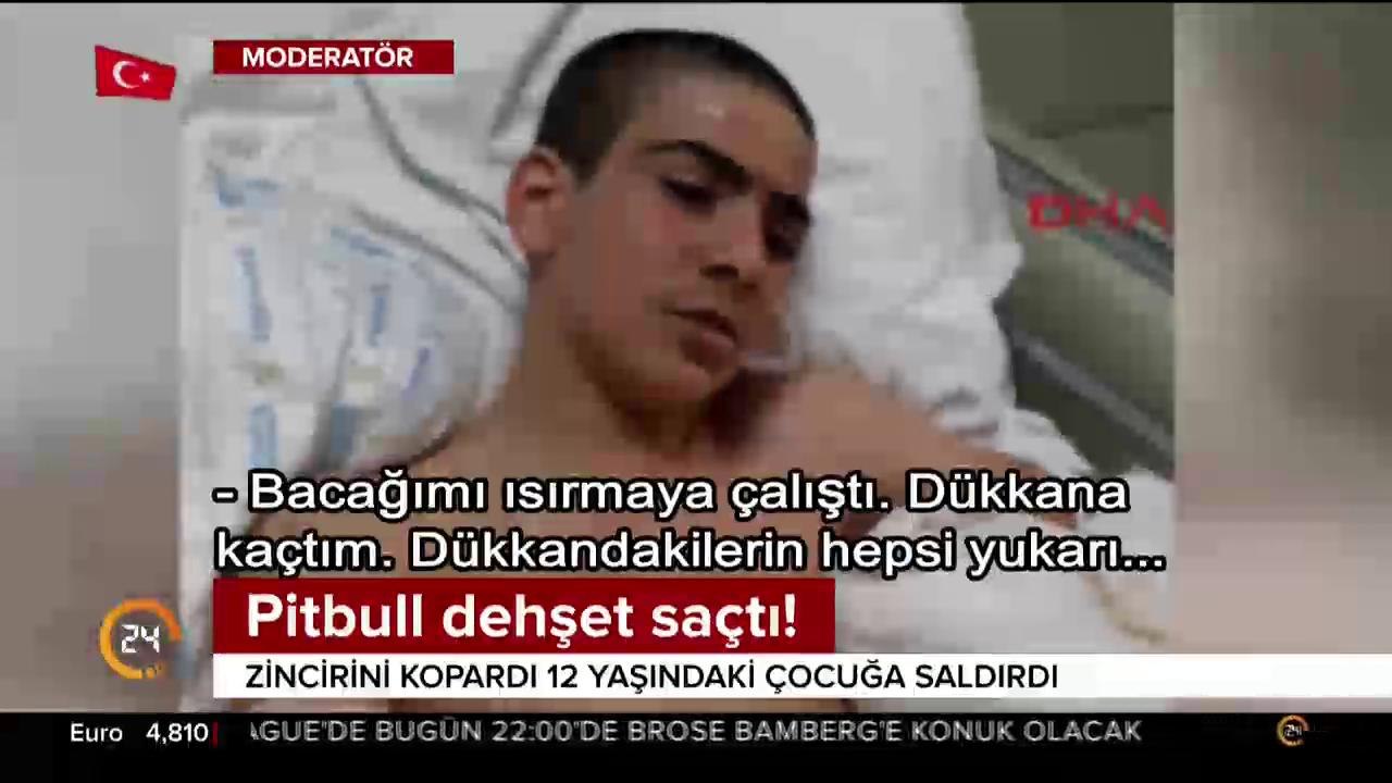 Dehşet saçtı