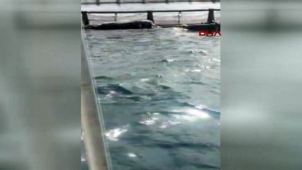 Patatesin tadı kaçtı