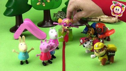 PEPPA PIG Y LA PATRULLA CANINA: el Juego del pañuelo / Video de Pepa y Paw Patrol en español