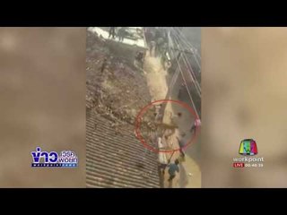 หนุ่มถูกเสือดาวกระโดดเข้าใส่หลบได้หวุดหวิด | ข่าวเวิร์คพอยท์ | 27 เม.ย.60