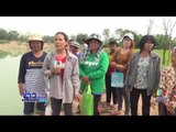 มดสร้างเมือง ดูดทราย ทำนาข้าวเสียหาย| ข่าวเวิร์คพอยท์ | 3 พ.ค.60