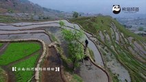 Honghe terraced rice fields in Yunnan