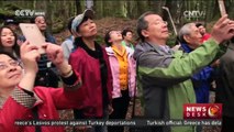 Tourism In New Zealand: Maori culture connects with Chinese tourism
