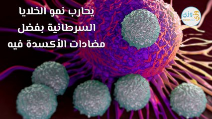 ما هي فوائد الخيار