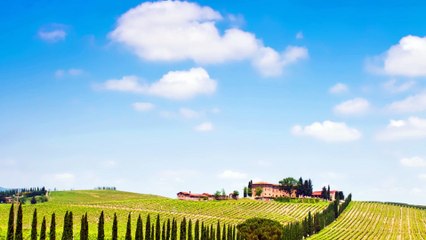 Weinkönigin - Lena