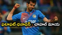 Yuzvendra Chahal Doing What Ravindra Jadeja Could Not