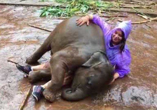 West Virginia Woman Rolls About With Playful Baby Elephant in Thailand