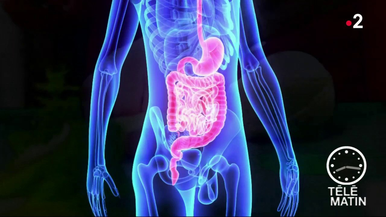 Santé - Des bactéries pour lutter contre la dépression !