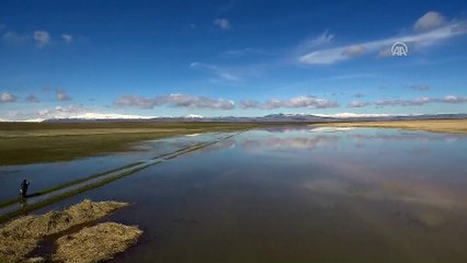 Gölde 'turna nöbeti' - MUŞ