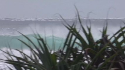 Adrénaline - Surf : highlights finals