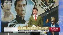 Donnie Yen on New Projects: Martial arts actor on 