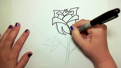 Learn How to Draw Pretty Rose in Bloom -- iCanHazDraw!