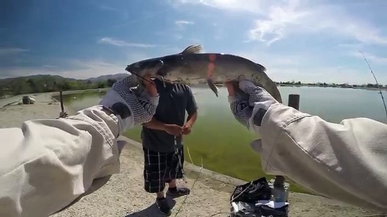 Hansen Dam Fishing - March 16, new - Everyone is catching!