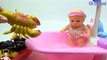 [ALIBABA KIDS] - ĐỒ CHƠI NHÀ TẮM BÚP BÊ ĐI TẮM BIỂN VÀ BẮT CÁ BẮT TÔM Bathtime How to Bath a Baby Doll Kids toys