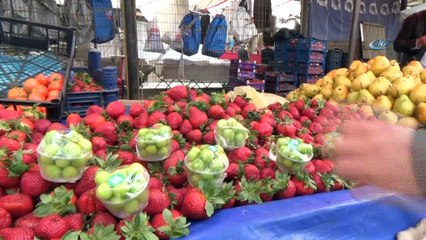 Erik kilosu 100 TL'den pazara geldi