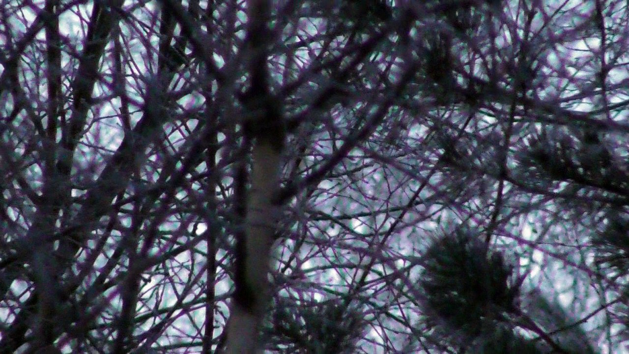 March 15 2018 DL1