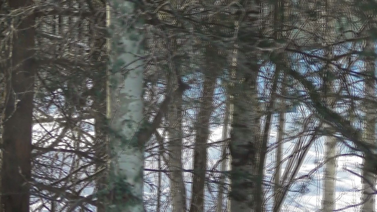 March 15 2018 DL6