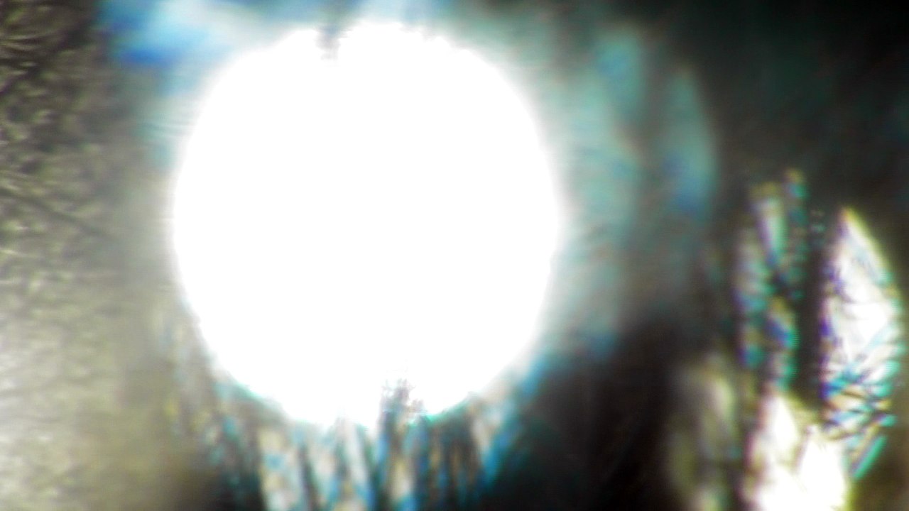 March 15 2018 DL7
