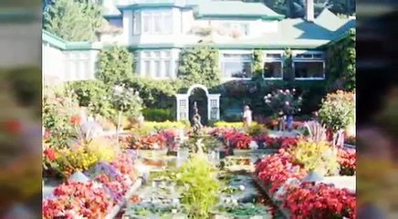 עיצוב גינות