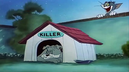 Tom and Jerry | Smarty Cat (1955) - (Jerry Games)