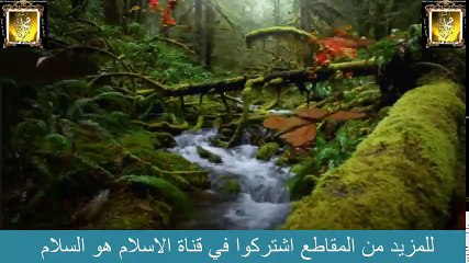 بعد ما كبرواصبح معيد في الجامع و يمتلك الكثيرمن المال صفع امه صفعه لن تنساها ابدا