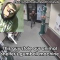 Un homme cambriole un refuge pour animaux pour voler un distributeur de bonbons !