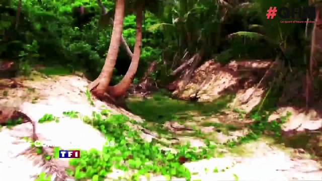 Dans #QHM, Denis Brogniart parle de la nouvelle saison de Koh-Lanta , de Twitter et du conflit TF1/Canal+