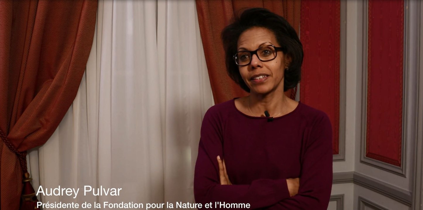 Audrey Pulvar Salon du Livre
