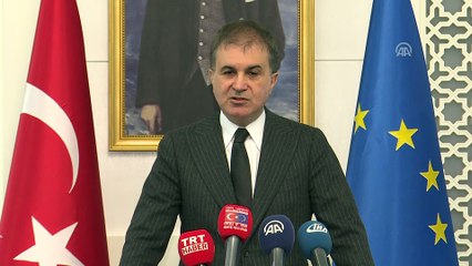 AB Bakanı Çelik: 'Avrupa Parlamentosu'nu ilkeli olmaya davet ediyoruz' - ANKARA
