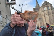 Des nids à hirondelles installés à Zillisheim