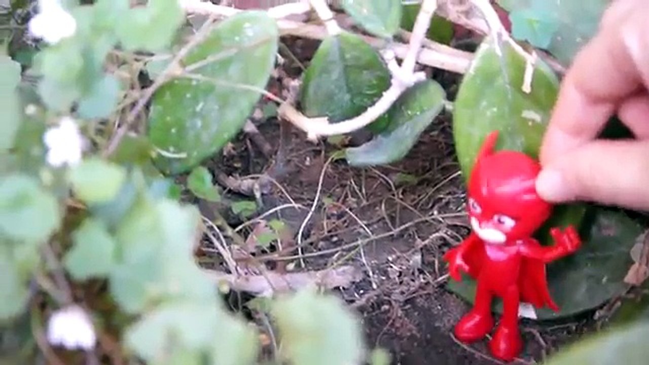 Baykuş Kız kırmızı başlıklı kız oluyor