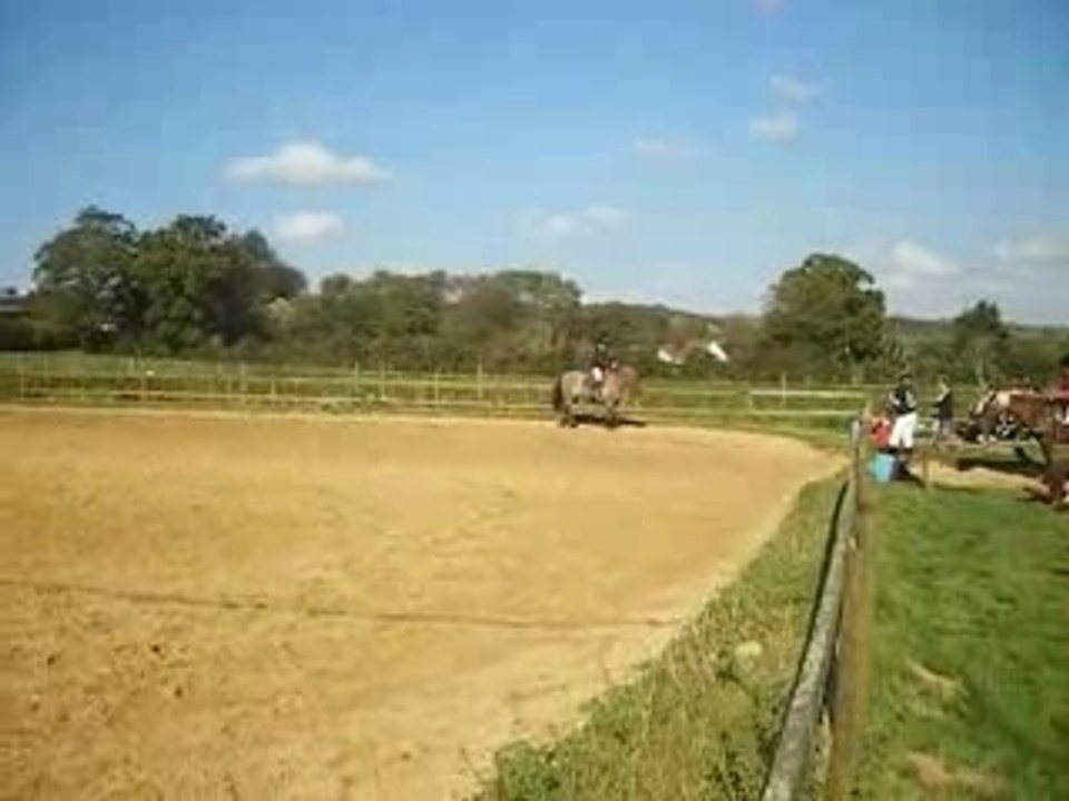 Dressage