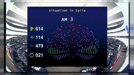 Il parlamento europeo ad Ankara: "Ritiri le truppe da Afrin"