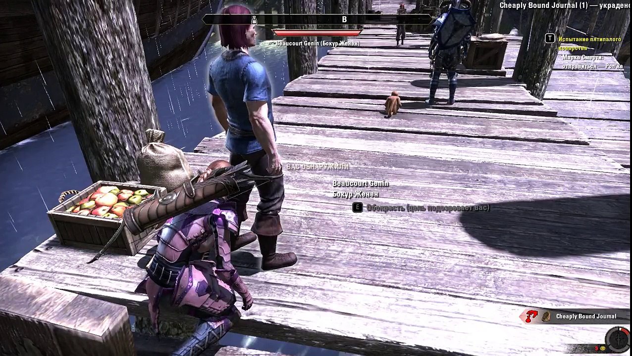 Elder Scrolls Online ESO Wood Elf Templar Thief 2017 12 20 22 38 15 098