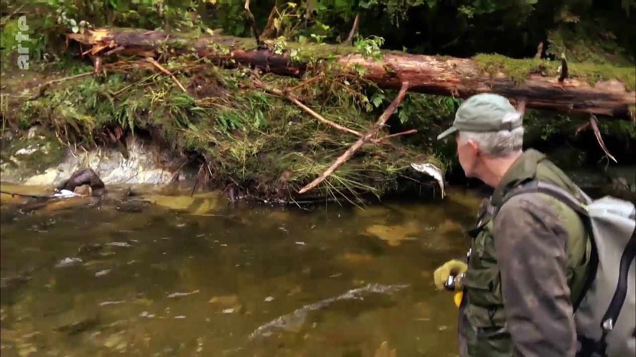 Canada, le vieil homme et la rivière