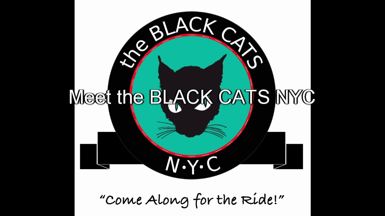 Black Cats NYC - Meet the Black Cats NYC