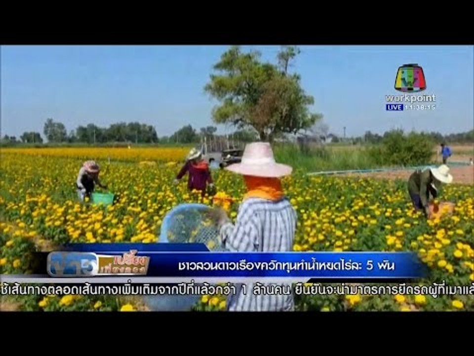 ข่าวเปรี้ยงเที่ยงตรง | ชาวสวนดาวเรืองควักทุนทำน...