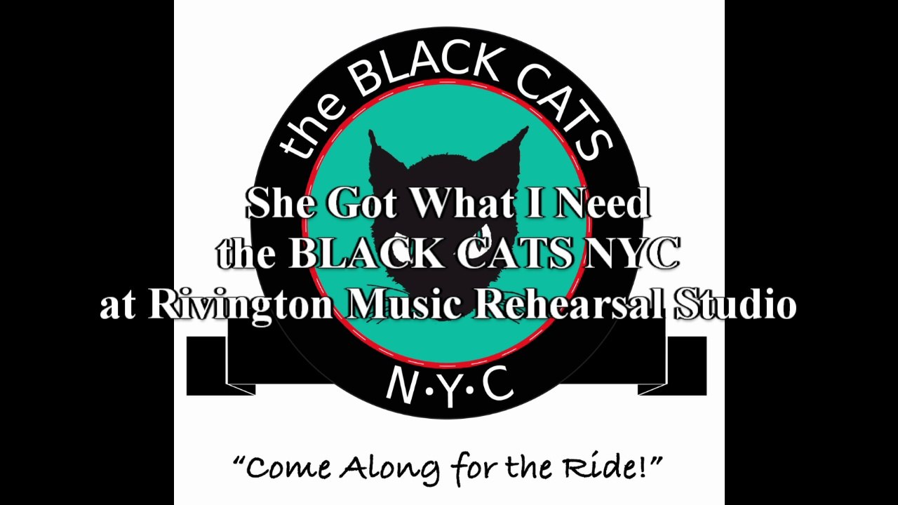 Black Cats NYC - "She Got What I Need" Live at Rivington Music Studios NYC