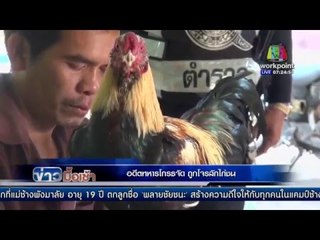 อดีตทหารโกรธจัด ถูกโจรลักไก่ชน  | ข่าวมื้อเช้า | 1 กพ. 59