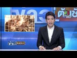 พิธีลอยอังคาร ปอ ทฤษฎี | สัตว์ป่าหนาวตาย  | ข่าวต้นชั่วโมง | 27 มค.59