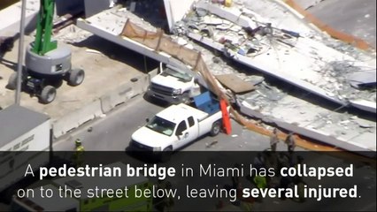 Florida bridge collapse leaves people trapped