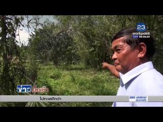 นครนายก ผวาช้างป่าบุกทำลายทรัพย์สิน  | ข่าวมื้อเช้า | 1 กพ. 59