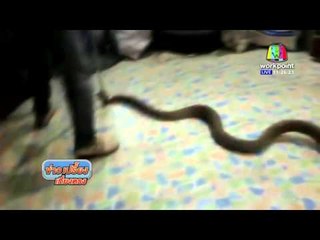 จงอางยาว 5 เมตร บุกบ้าน แม่ลูกหนีตาย | ข่าวเปรี้ยงเที่ยงตรง | 3 ก.พ. 59