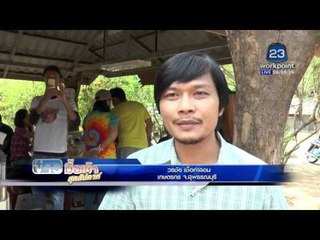 ฟาร์มไก่ชน "ตัวละ4ล้าน" คึกคัก ประชาชนแห่ซื้อเพาะพันธุ์ l ข่าวมื้อเช้าสุดสัปดาห์ l 21 กพ 59