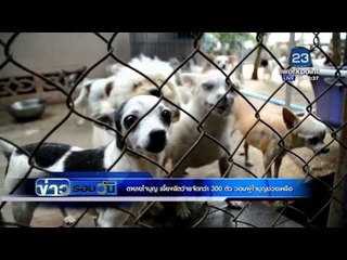 ตายายใจบุญ เลี้ยงสัตว์จรจัดกว่า 300 ตัว วอนคนใจบุญช่วยเหลือ  l ข่าวรอบวัน l 22 กพ 59