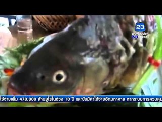 จีน เวียดนาม เมนูโหด ปลาทอดคืนชีพ   l ข่าวมื้อเช้า l 24 ก.พ.59