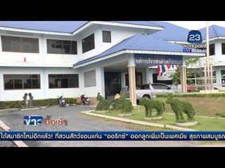 ชาวปทุมฯ ร้องผักตบชวาเต็มคลองเชียงราก | ข่าวมื้อเช้า 18 กุมภาพันธ์ 2559